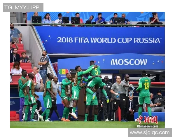 北京排球队速度之争引发热议球迷与专家各执己见