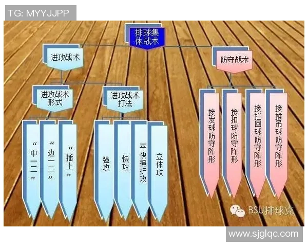 成都排球队在城市联赛中的灵活性表现及其战术分析